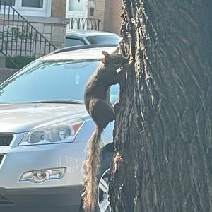 Meet your Posher, Lily